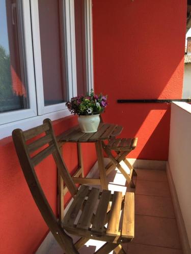 a small wooden table with a potted plant on it at Stan na dan Gradiška/Bos. Gradiška in Bosanska Gradiška