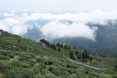 a misty valley with a winding road on a mountain at Nirvana Retreat in Kurseong