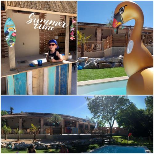 a collage of photos with a swan and a pool at Guesthouse Le Pujol in Sainte-Foy-dʼAigrefeuille