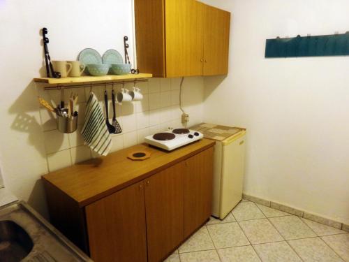 Kuchyň nebo kuchyňský kout v ubytování Leia Guest House