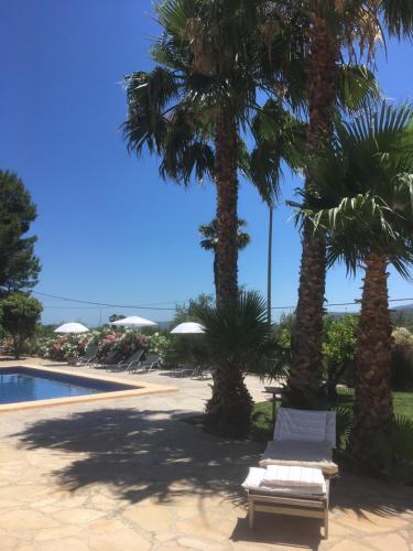 a resort with palm trees and a swimming pool at Casa Alestelou in Tormos