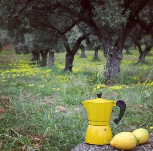 Zahrada ubytování Casale Calabria