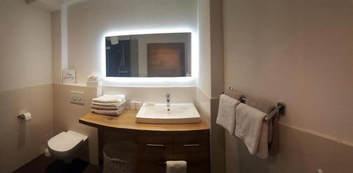 a bathroom with a sink and a toilet and a mirror at Appartement De Martin in Aurach bei Kitzbuhel