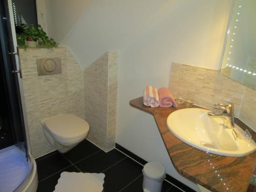 a bathroom with a sink and a toilet at Gästehaus am Berg in Hirschegg