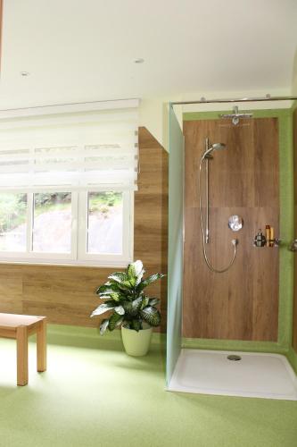 a bathroom with a shower with a plant in it at Ute`s Feriendomizil in Kurort Oybin