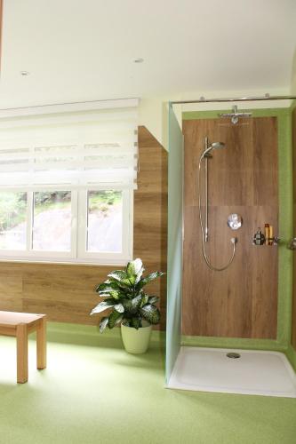 a bathroom with a shower with a plant in it at Ute`s Feriendomizil in Oybin