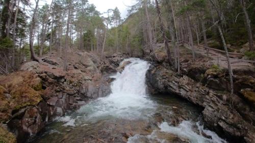 a waterfall in the middle of a forest at Alpenspirit in Sölden