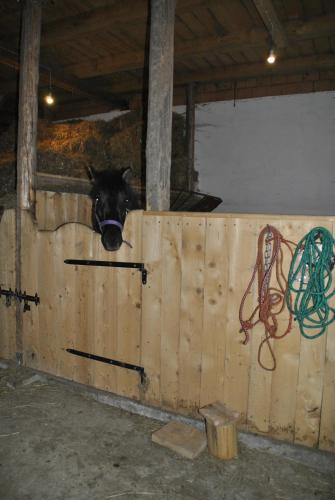 Billede fra billedgalleriet på Jaworowa Zagroda i Domaszków