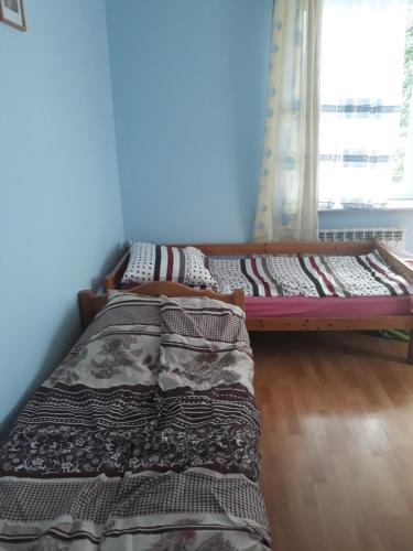 two beds in a room with a blue wall at Uniejów Pensjonat Pod Miłorzębem in Uniejow