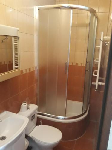 a bathroom with a shower and a toilet and a sink at Uniejów Pensjonat Pod Miłorzębem in Uniejow