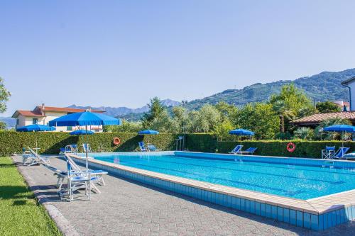 a large swimming pool with chairs and umbrellas at B&B Da Pio in Pietrasanta