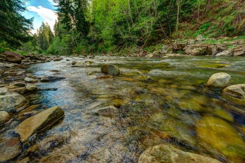 a river with rocks and trees in the background at L - Hutir in Mykulychyn