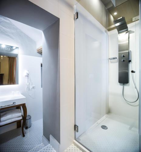 a bathroom with a shower and a sink at Palazzo Leopoldo Dimora Storica & Spa in Radda in Chianti