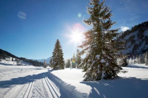 Alpengasthof Almrose im Heutal im Winter