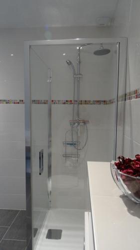 a shower with a glass door in a bathroom at Chambres d'hotes Maison Gille in Nuits-Saint-Georges