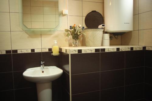 Phòng tắm tại Apartments Aleksandra Cetinje