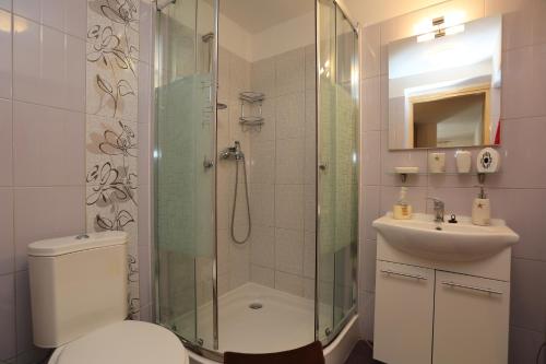 a bathroom with a shower and a toilet and a sink at Foltyn Holiday Home in Selca