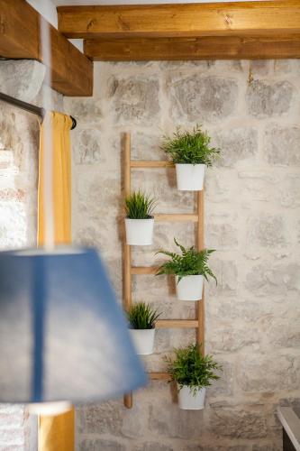 a wooden ladder with potted plants on a wall at Villa Lucia in Trogir
