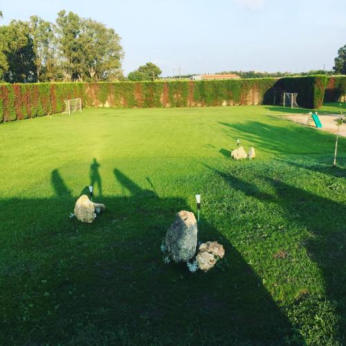 a group of sheep laying in a grass field at Bed & Breakfast Giardini Di Marzo in Lecce