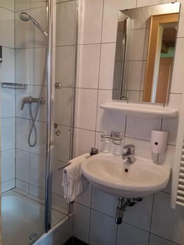 La salle de bains est pourvue d'un lavabo et d'une douche. dans l'établissement Ferienwohnungen Pension Sonnblick, à Krumbach