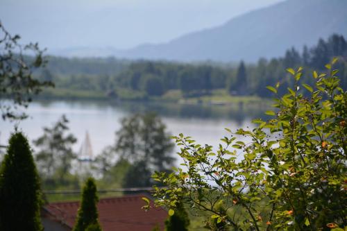 a view of a lake from behind a tree at Petra Maria Sölle - Ferienhaus sehr privat in Presseggersee