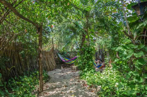 Un jardín fuera de Hostel Candelaria