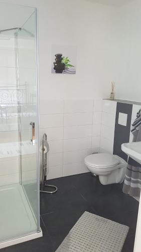 uma casa de banho com um WC e uma cabina de duche em vidro. em Pulgersmühle em Mörsdorf