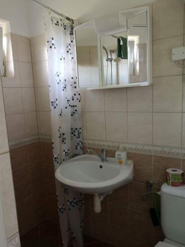 a bathroom with a sink and a mirror and a toilet at Apartmany-Anna in Podhájska