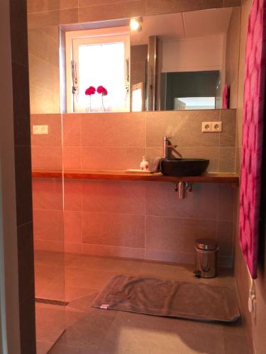 a bathroom with a sink and a mirror at De Lindenburg met privé hottub, sunshower, sauna, grote tuin met weidezicht en vrije ligging, 6-persoons in Lievelde