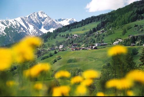 a group of yellow flowers in front of a mountain at Hotel Restaurant Stigenwirth in Krakauebene