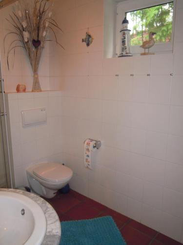 Ένα μπάνιο στο Ferienhaus am Fleesensee