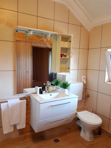 a bathroom with a sink and a toilet and a mirror at Hotel Elisabeta in Alba Iulia