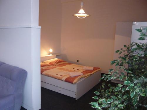 プラハにあるホテル ハサのベッドルーム1室(ベッド1台、鉢植えの植物2本付)
