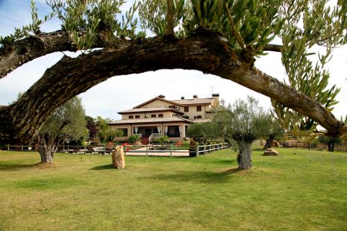a house in the background with trees in the foreground at Hostería de Guara in Bierge