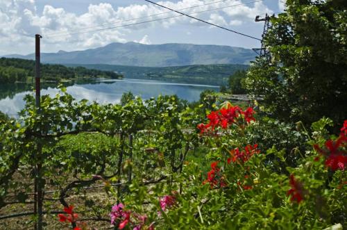 a view of a lake from a vineyard with flowers at Holiday home Marija in Vrlika