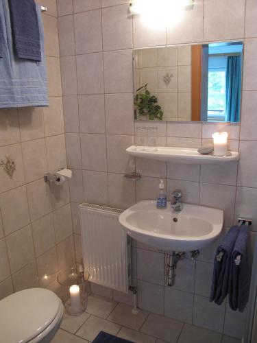 a bathroom with a sink and a toilet and a mirror at Ski Lodge Jaktman in Bad Gastein