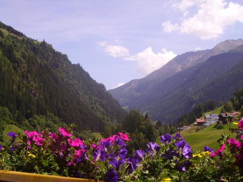 a view of a valley with purple flowers and mountains at Haus Ladner in See