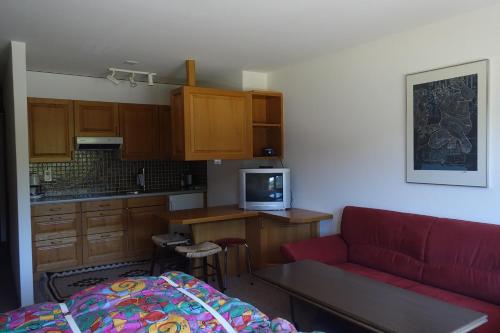 セドルンにあるCasa La Foppa 28のリビングルーム(赤いソファ付)、キッチン