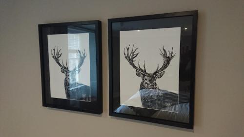 two framed pictures of deer on a wall at The Allan Park in Stirling