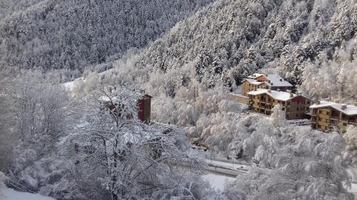 a snowy mountain range with trees and houses at Xalet Besolí in Arinsal