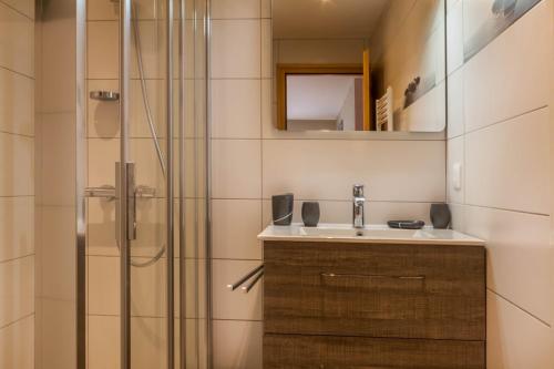 La salle de bains est pourvue d'un lavabo et d'une douche. dans l'établissement La Ruche, à Morzine