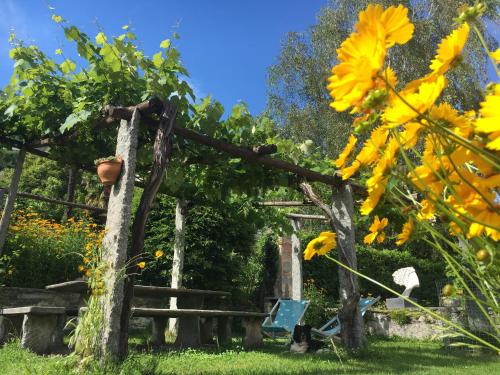 a garden with yellow flowers and a wooden fence at B&B villa sempreverde in Locarno
