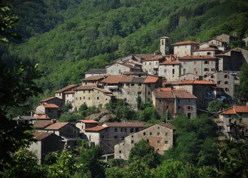 a group of buildings on a hill with trees at Canto del Fiume in Ortignano Raggiolo