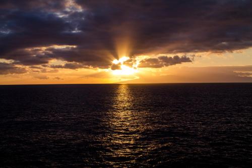 Naturlandskabet i nærheden af lejligheden
