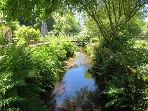 a stream in a garden with a bridge in the background at Le Moulin de Pensol - Gites in Pensol