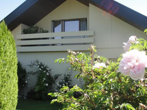Κήπος έξω από το Charming and cosy apartment near Lucerne