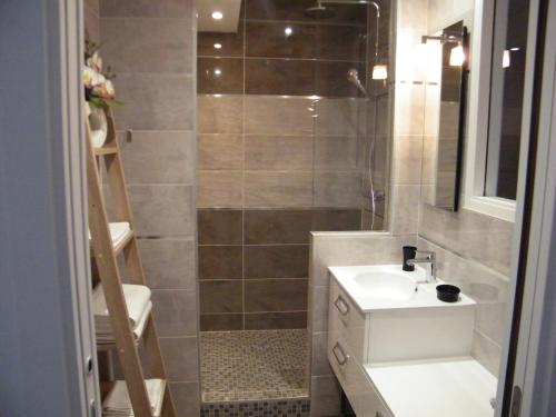 La petite salle de bains est pourvue d'un lavabo et d'une douche. dans l'établissement Bel appartement vue sur mer, à Cancale