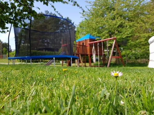 a field of green grass with a playground at Pension New Nomads in Zesch