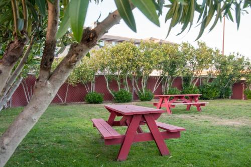 two picnic tables in the grass next to a tree at Hotel Calle Joaquin - San Luis Obispo in San Luis Obispo