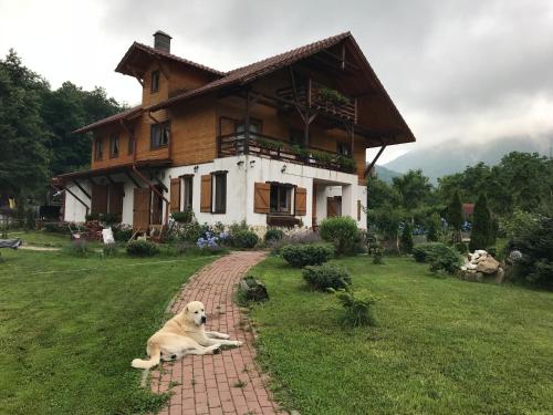 a dog laying on a brick path in front of a house at Gasthaus Maria in Borlova